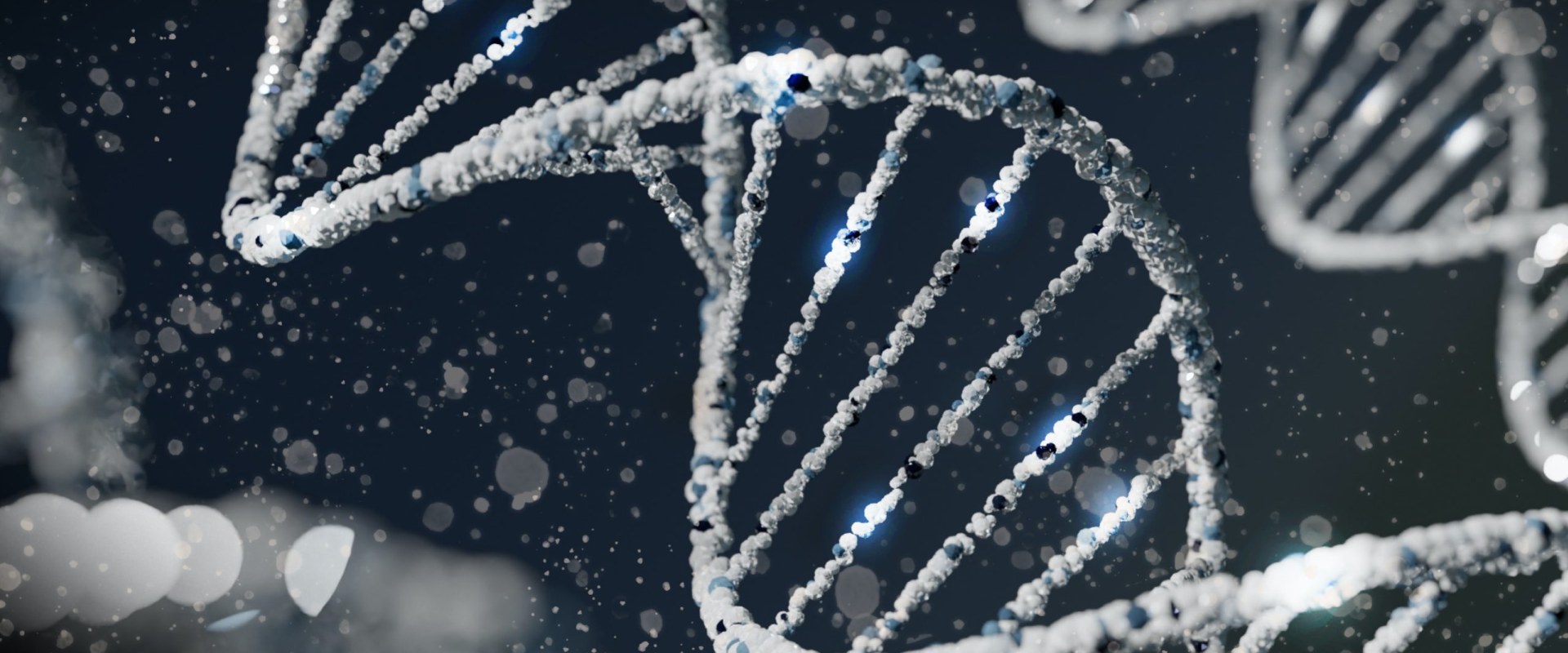 Understanding Mendelian Genetics: A Comprehensive Guide for A-Level Students