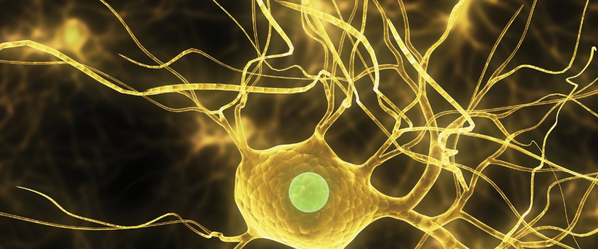 Understanding Cell Structure and Function