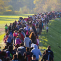 Understanding Population and Migration: A Comprehensive Study Guide