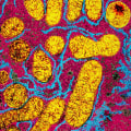 A Comprehensive Overview of Enzymes and Metabolism for A-Level Students