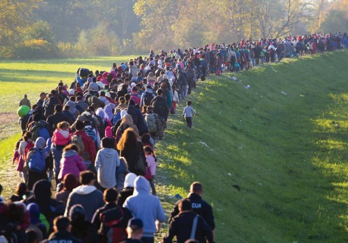 Understanding Population and Migration: A Comprehensive Study Guide