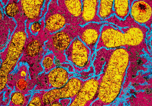 A Comprehensive Overview of Enzymes and Metabolism for A-Level Students